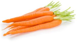 Fresh Carrot