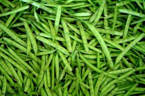 Fresh Cluster Beans