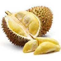 Fresh Durian Fruit