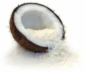 Coconut Powder