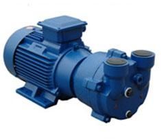 2wbv2 Series Liquid Ring Vacuum Pump