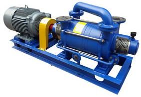 wsk Series Liquid Ring Vacuum Pump