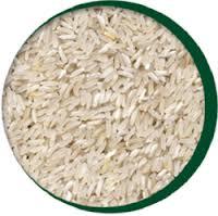 Basmati rice