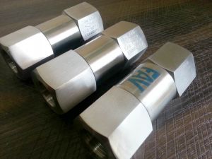 Ss High Pressure Check Valves