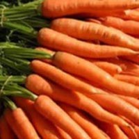 Fresh Carrot