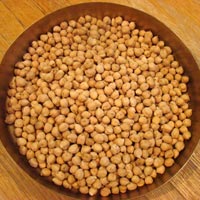 White Chickpeas