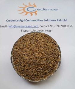 Cumin Seeds