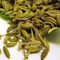 green fennel seeds