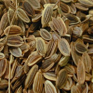 dil seeds