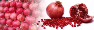 Fresh pomegranate