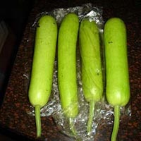 Fresh Bottle Gourd