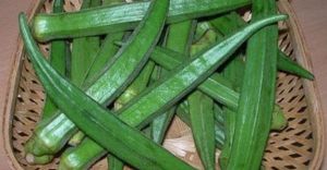 Fresh Okra