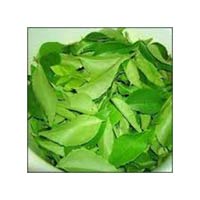 Green Curry Leaves