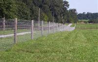 Wire Fencing