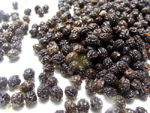 Dried Papaya Seeds