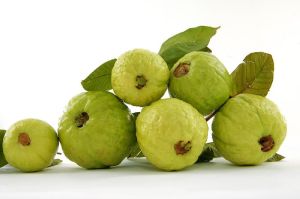 Fresh Guava