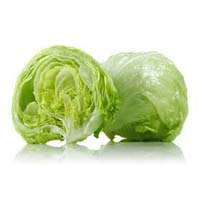 Fresh Iceberg Lettuce