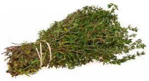 Thyme Leaves