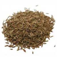 Cumin Seeds