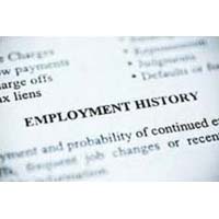 Pre Employment Verification Services