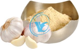 Dehydrated Garlic Powder