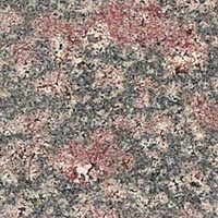 Bala Flower Granite