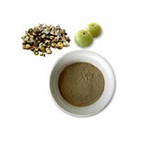 Organic Amla Powder