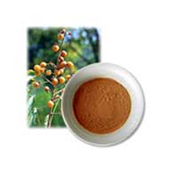 Herbal Aritha Powder