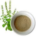 Tulsi Powder