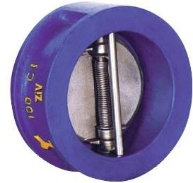 Dual Plate Check Valves