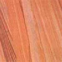 Teak Sandstone 09