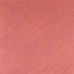 Agra Red Polished Sandstone