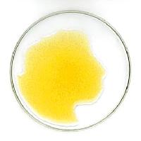 Soya Refined Oil