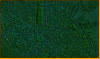 remote sensing services