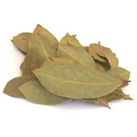 Dried Bay Leaves