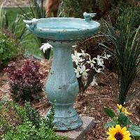 Bird Bath