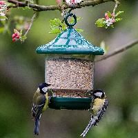 Bird Feeders