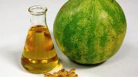 musk melone seed oil