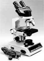 Research Binocular Microscope