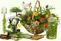 Medicinal Plants