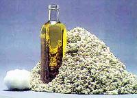 Cotton Seed Oil