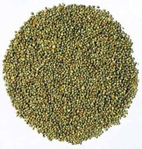 Millet