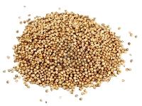 Coriander Seeds