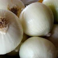 White Onion