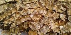 Seedless Tamarind