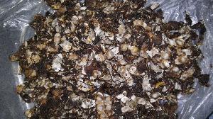 Seedless Tamarind