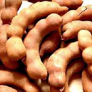 Tamarind Pods