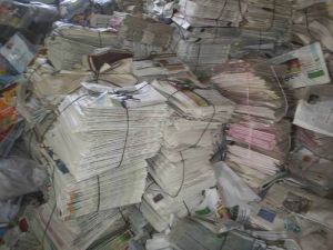 Newspaper Waste