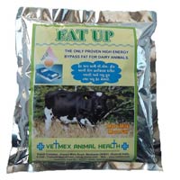 Animal Feed - Fat up