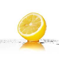 Fresh Lemon